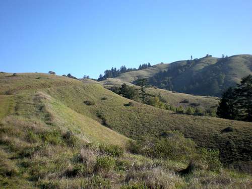 The West Ridge of Barnabe Mountain