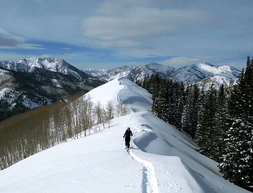 Central Wasatch Backcountry Skiing