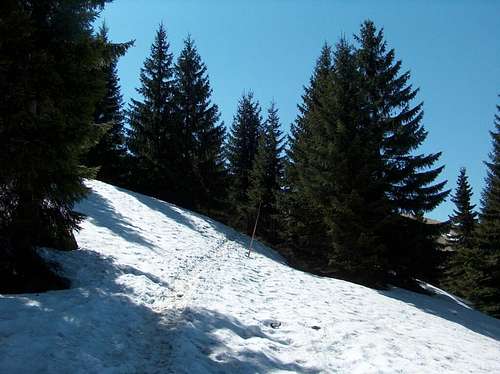 Crossing Čierny Kameň via the snowy trail on the north slope