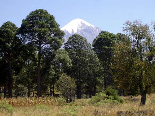 Beautiful Orizaba from the valley