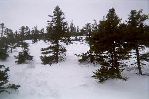 Maine Winter Scene