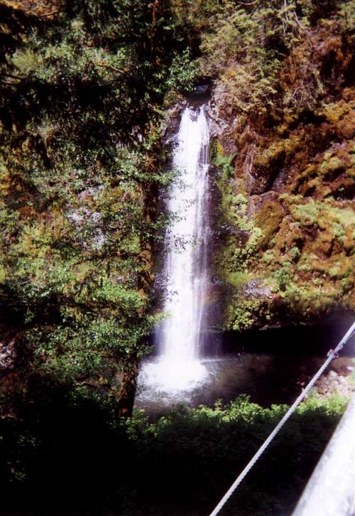 Drift Creek Falls Trail 1378