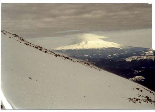 Mt. Adams from the Worm Flows...