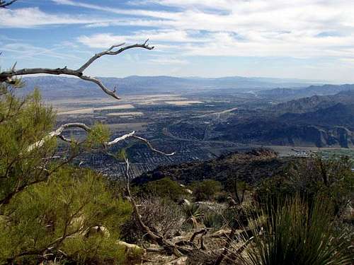 Skyline Trail - View of Palm Springs