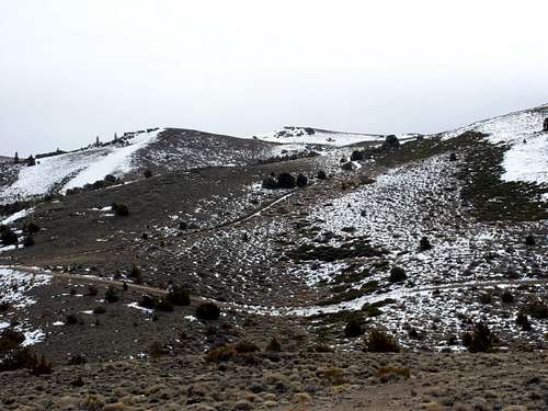 Upper slopes of the plateau