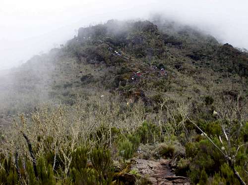 Machame Route Day 2
