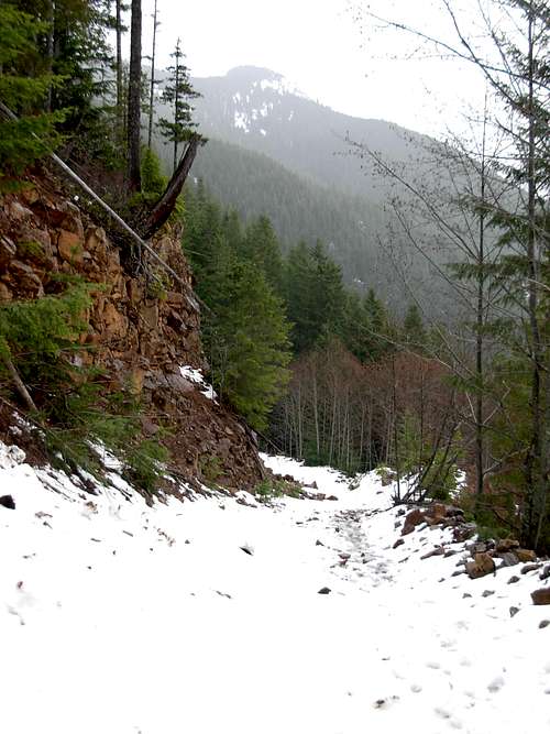 Mount Teneriffe Road-Trail