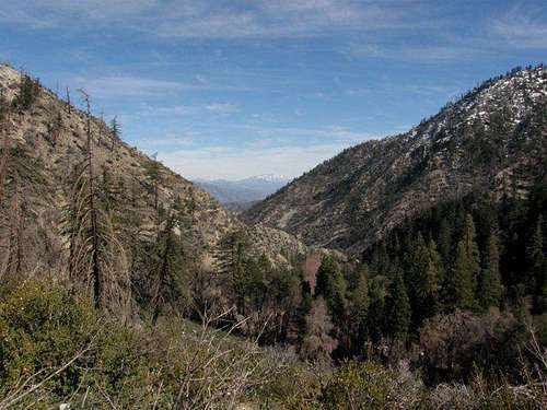 Middle Fork Canyon