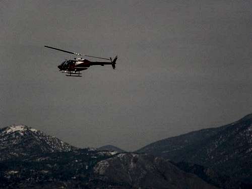 Helicopter looking for Bighorns