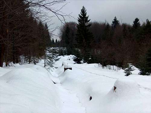 From Bartne to Wołowiec in winter, Beskid Niski