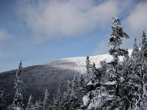 A partial view of Cabot from the Kilkenny Ridge trail - 1/17/2009