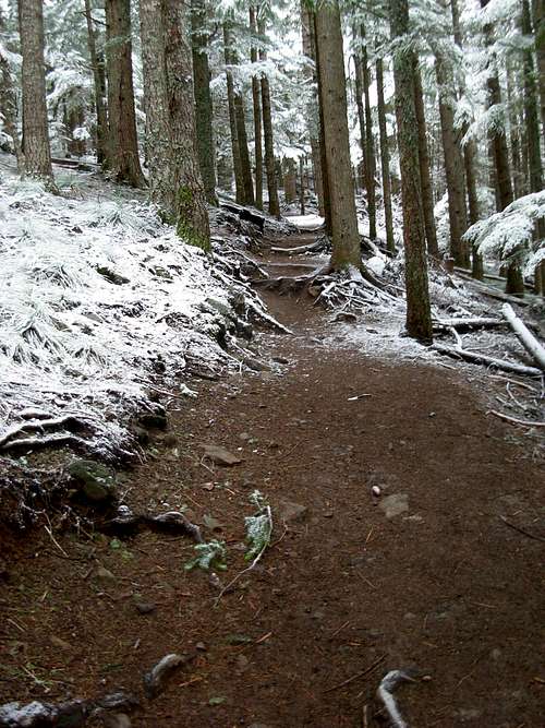 Snow On Mount Si Trail