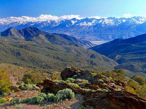 High Sierra from the White Mtns.