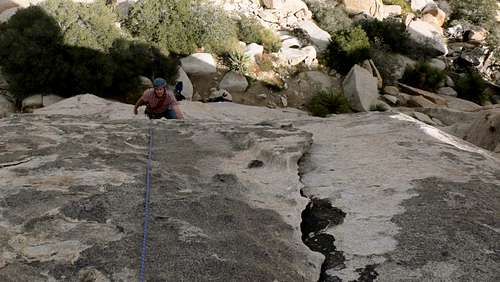 Joshua Tree