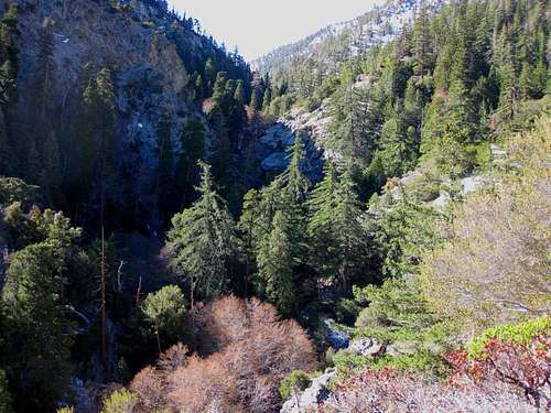 Middle Fork of Lytle Creek