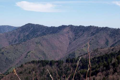 Luftee Knob