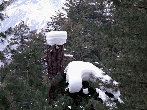 Kaghan Valley in Winter