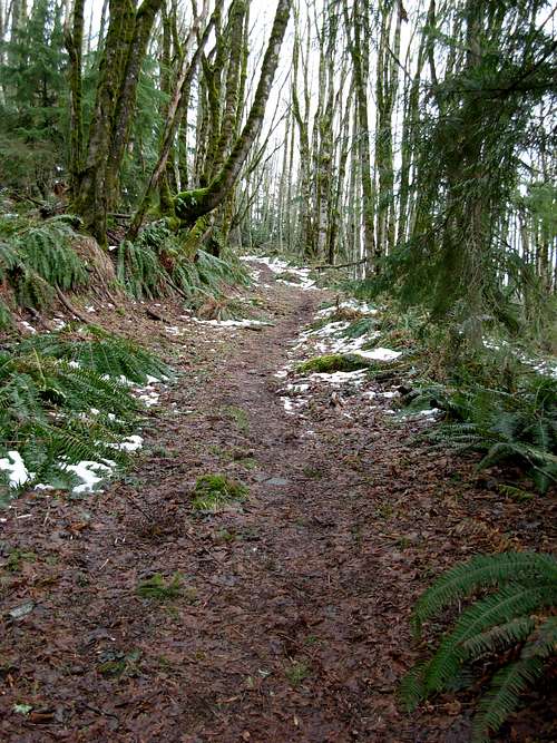 Grand Ridge - Summit Trail