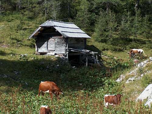 Hut in the Velska Dolina valley