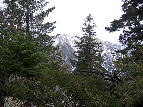 Mt. Baldy from Iron Mountain trail