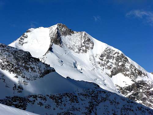 Piz Bernina 4049m and Bianco ridge
