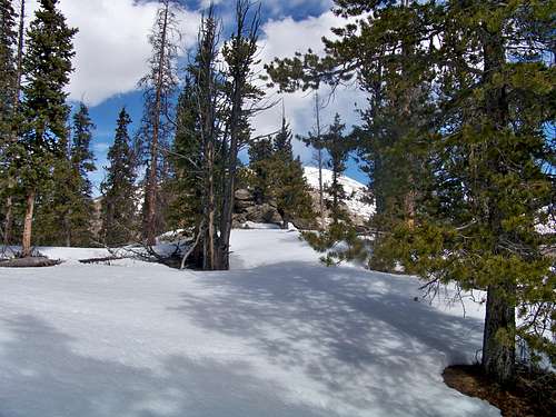 Snowy summit area of Spearhead Mountain