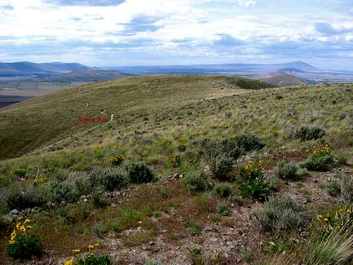 Badger Mountain