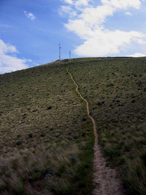 Badger Mountain