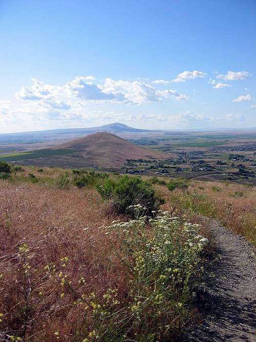 Skyline Trail