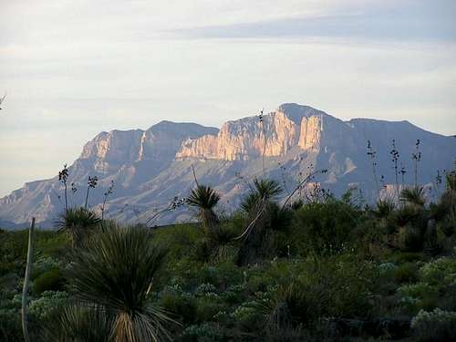 Guadalupe Range from the...
