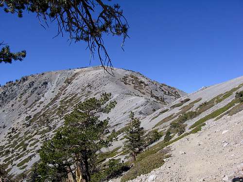 Returns to Mt. Baldy--Goats, Groans, and Helping Each Other Out