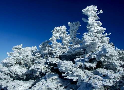 Rime Ice On Camel's Hump