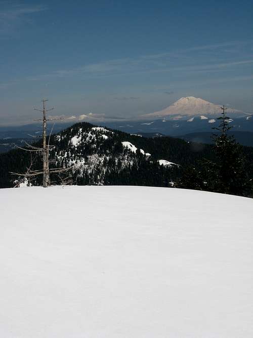 Mt. Adams viewed from Table Mt.