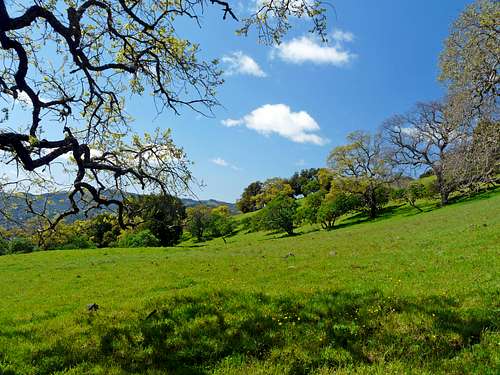 Spring on Burdell Mtn.