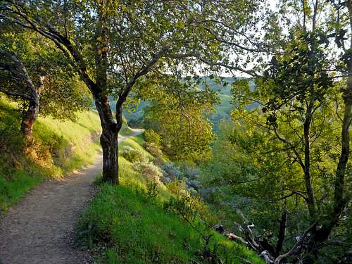 Trail on Big Rock Ridge