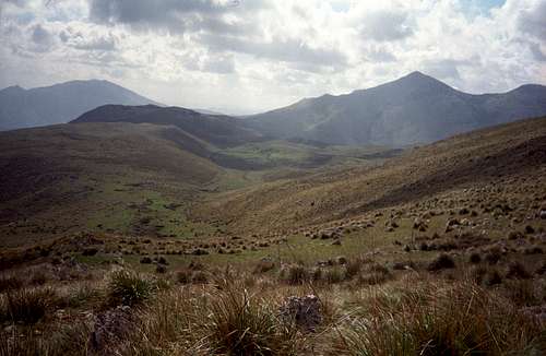 Monte Speziale - Riserva Naturale dello Zingaro
