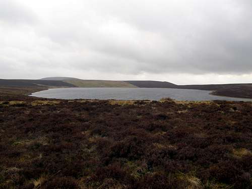 Glaslyn Lake from Nature reserve track