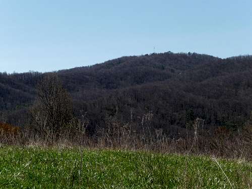 Appalachian Trail from Tanyard Gap
