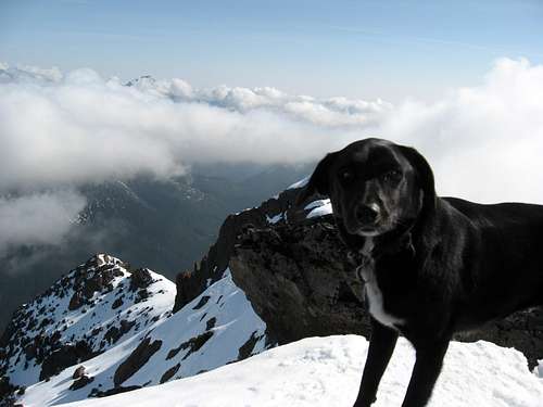 Cammie on the summit of Mt. Washington