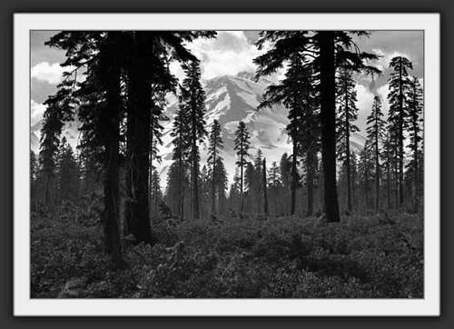 Apparitional Mt Shasta and...