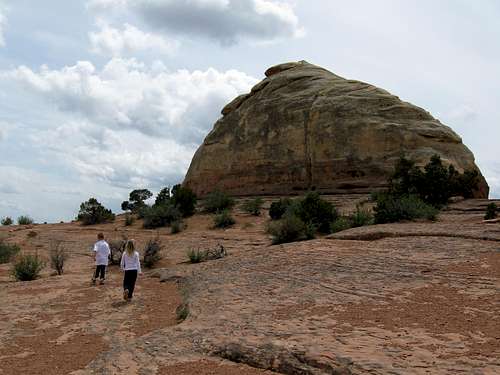 Liberty Cap