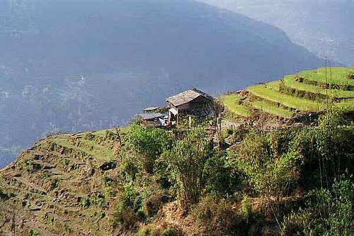 A typical Gurung house seen...