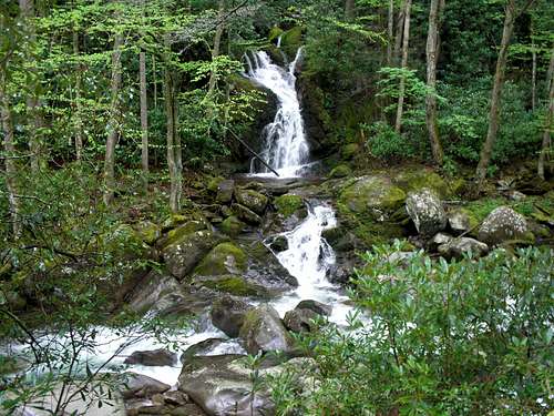 Mouse Creek Falls