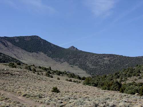 The summit from the trailhead