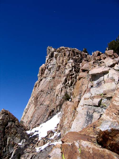 Mt Silliman May 2009