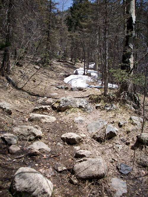 Wheeler Peak trail