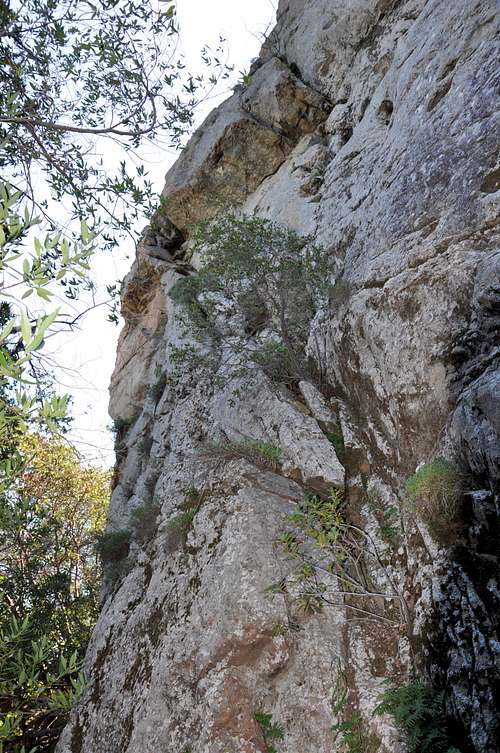 Hermit Rock- North Face