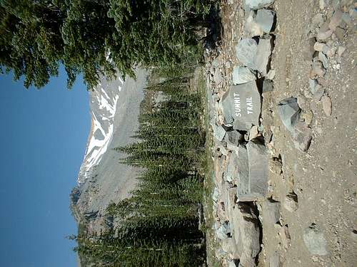 Shasta Summit Trail