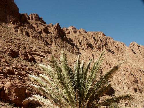 Todra Gorge (april 2004)