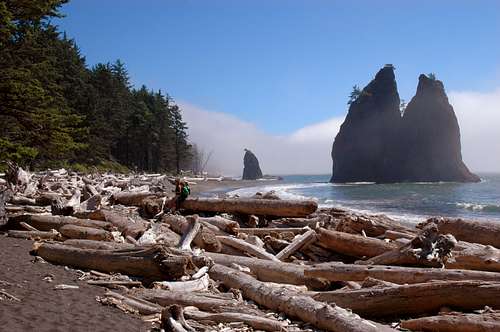Hiking Olympic National Park
